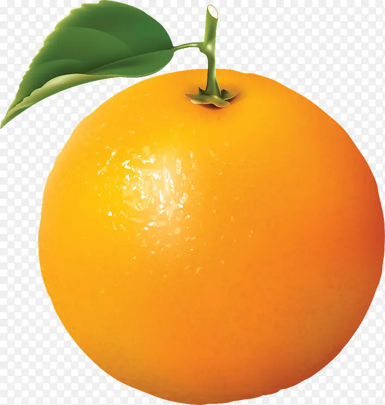 橙色的橙子还是橘子