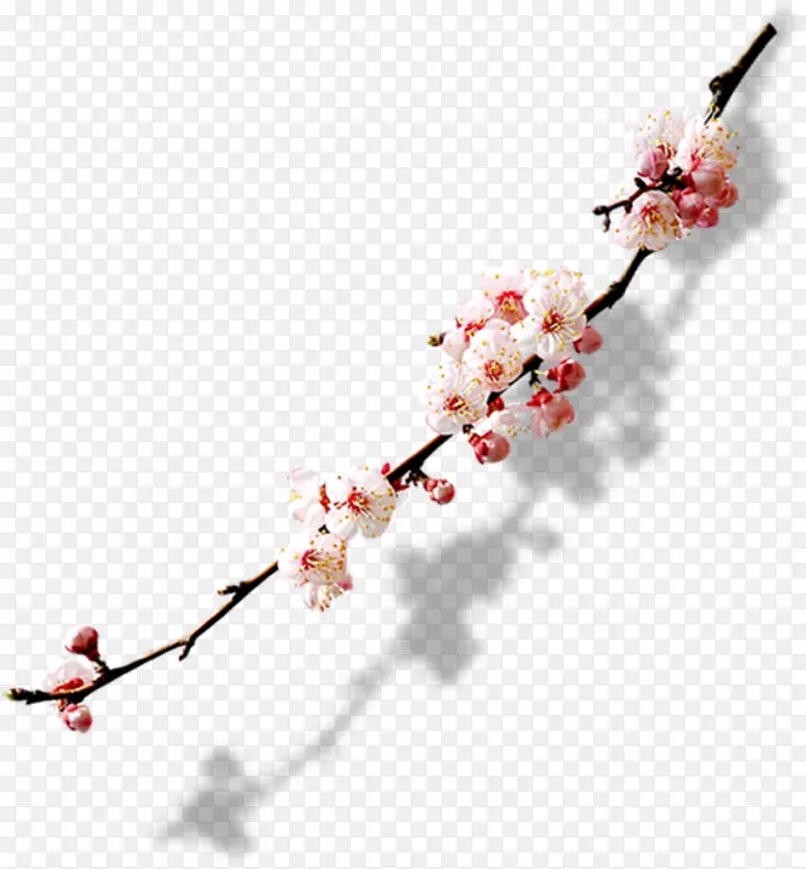 古典桃花树枝PNG图片素材下载_图片编号ygjjvezz-免抠素材网