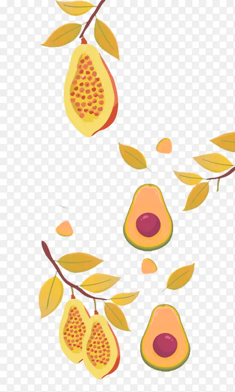 水果插画 水果png 牛油果 树叶 水果
