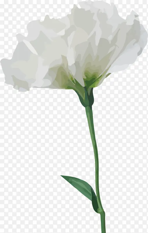 白色的一束花