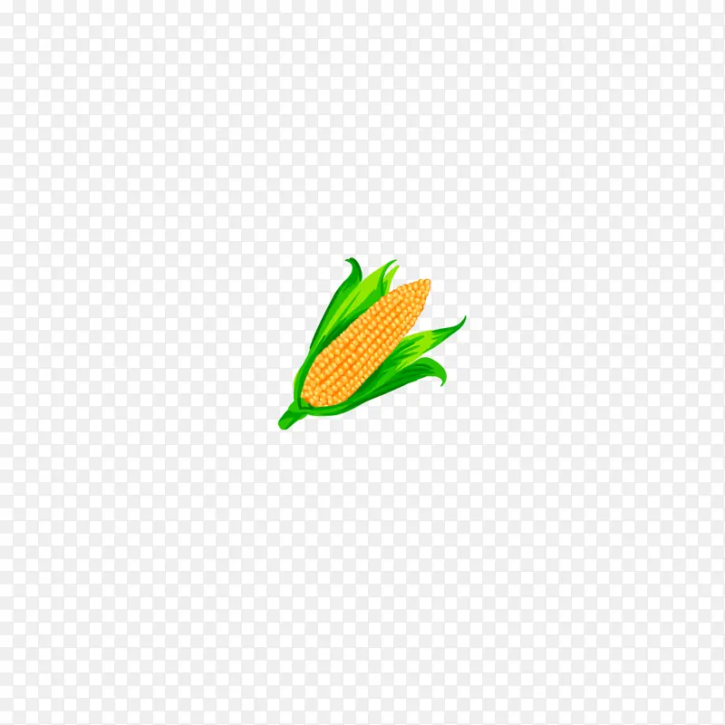 手绘 插画 一个 蔬菜 玉米
