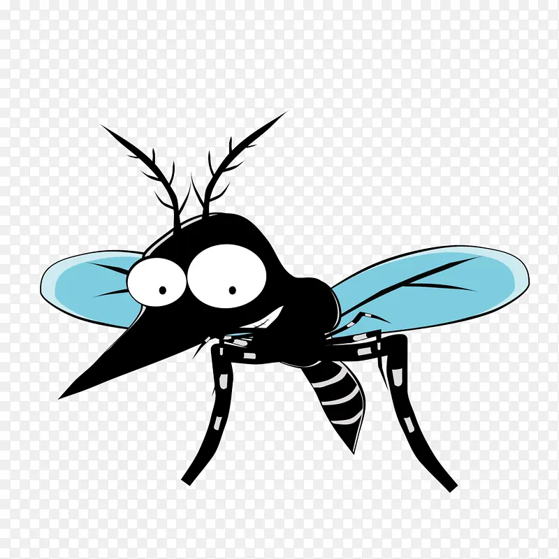一只黑色蚊子