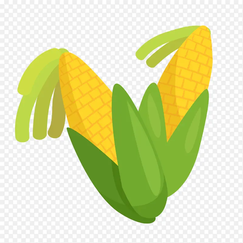 手绘粮食玉米插画