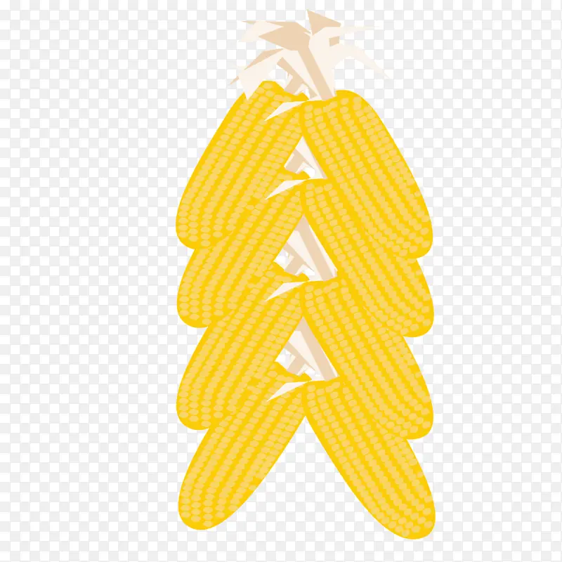 黄色的玉米免抠图