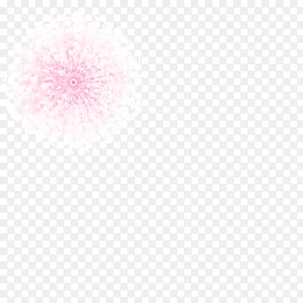 粉色的牡丹花花