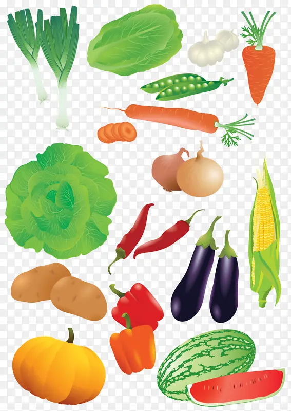 蔬菜，萝卜，豆角，白菜