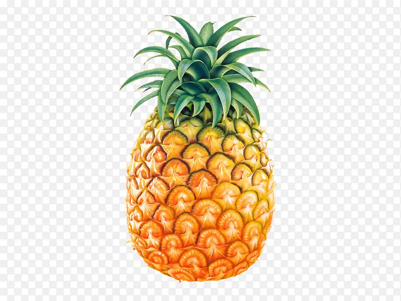 热带水果菠萝