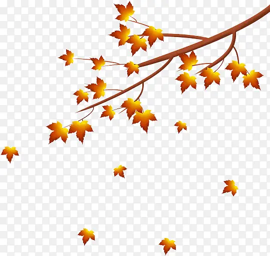 秋天手绘树叶枫叶