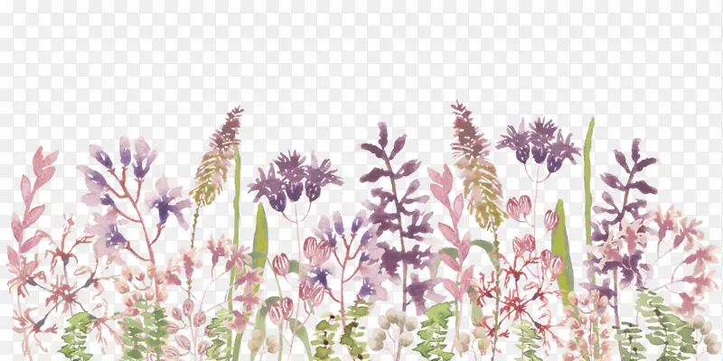 紫色小花花丛温馨