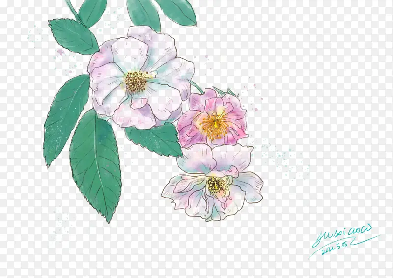 五月蔷薇花水彩画