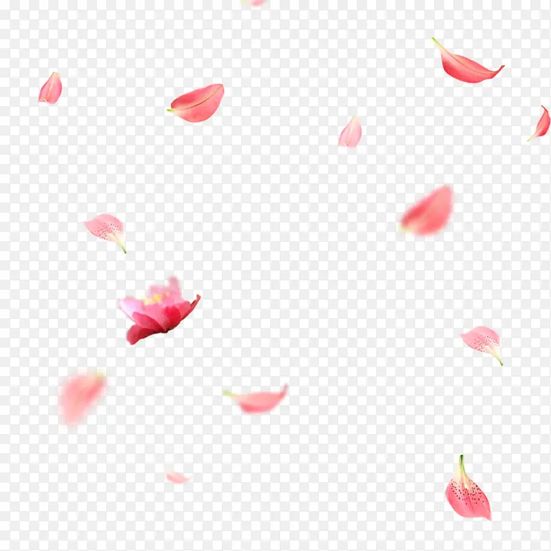 唯美的粉色漂浮花瓣
