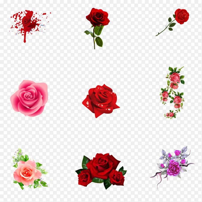 多种玫瑰花朵装饰图