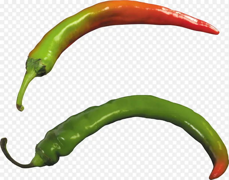 辣椒 生活素材 蔬菜种植