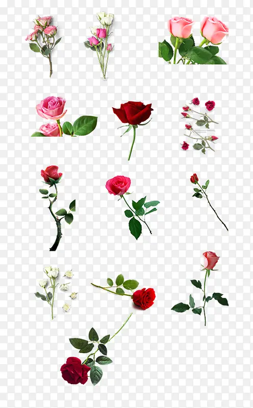 七夕节专用红色玫瑰粉色玫瑰单支多支花