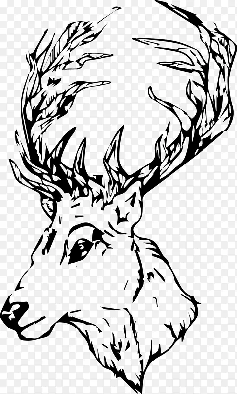 鹿头，黑白，手绘，动物，可爱