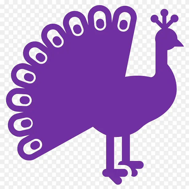 紫色美丽孔雀