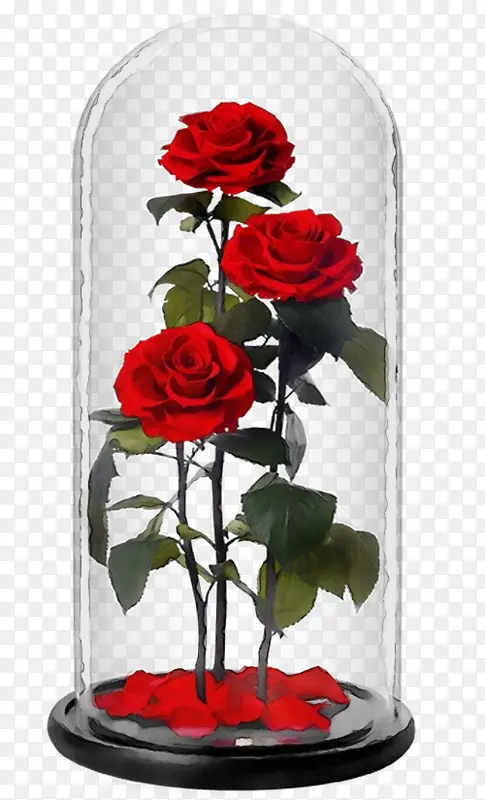 瓶中的血色玫瑰
