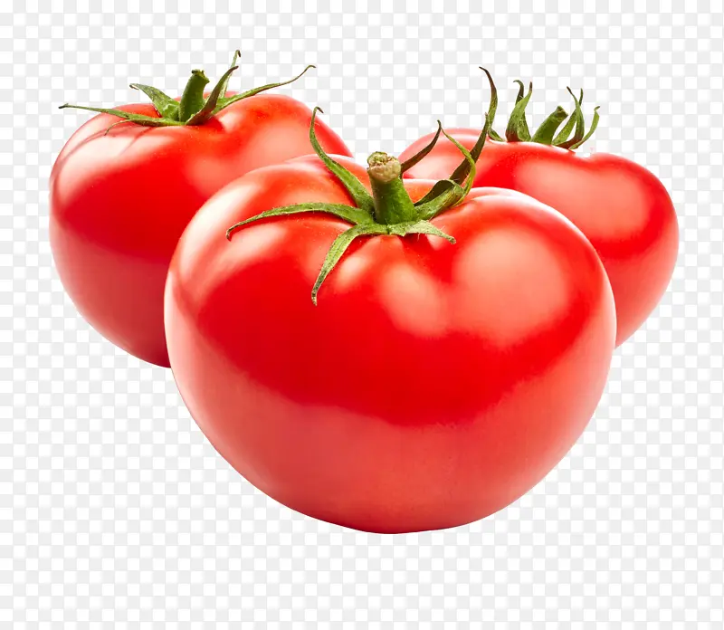 西红柿番茄透明