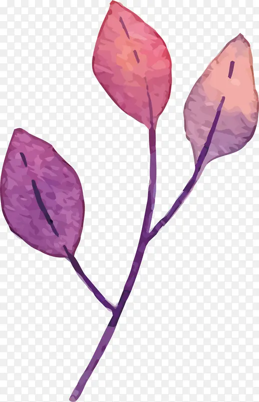手绘紫色单片叶子