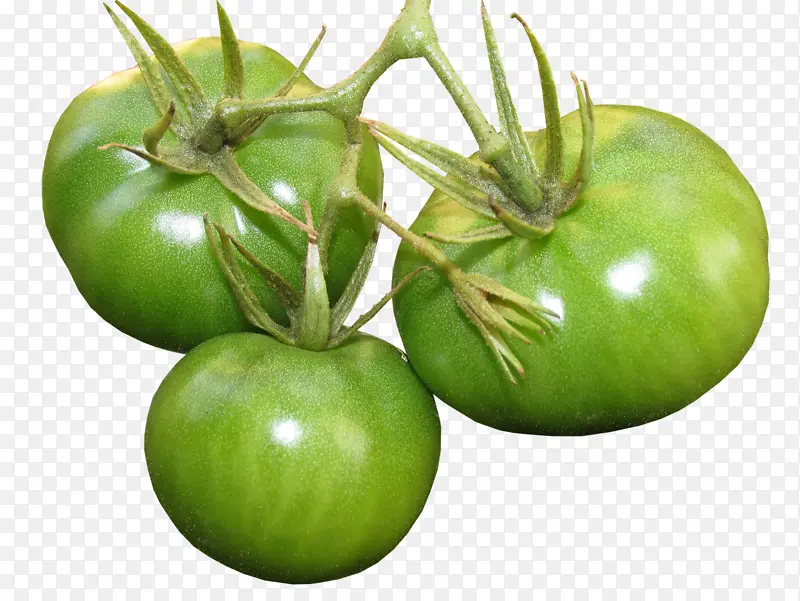 绿色的番茄！