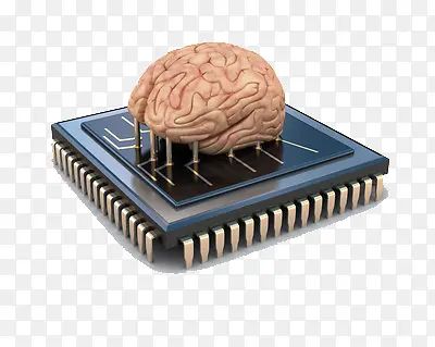 大脑技术