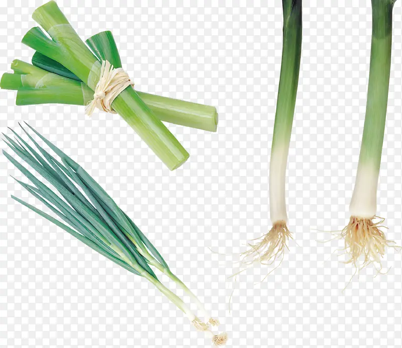 葱 蔬菜 卖葱 时蔬 调味品 菜