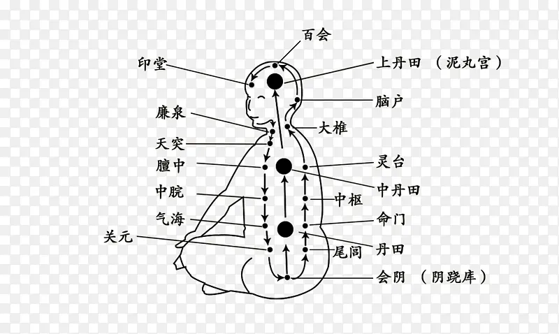 人体穴位