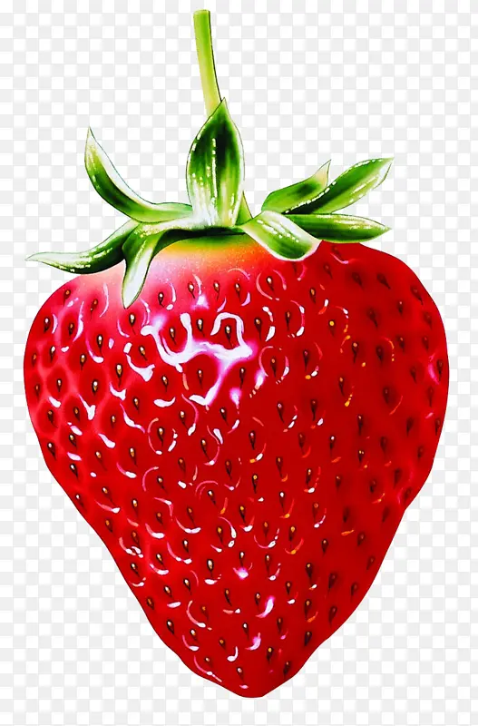 鲜红草莓水果