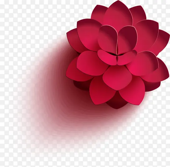 精美3D立体花展示