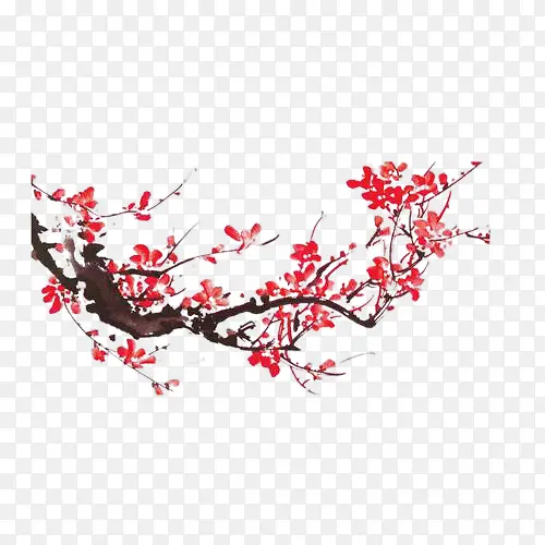 中国风水墨红梅树枝
