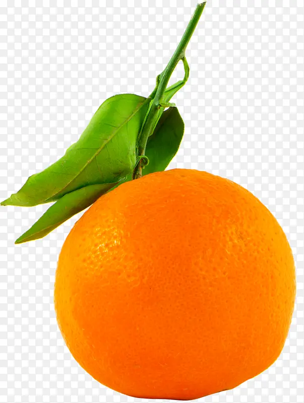 一个橘子带叶子