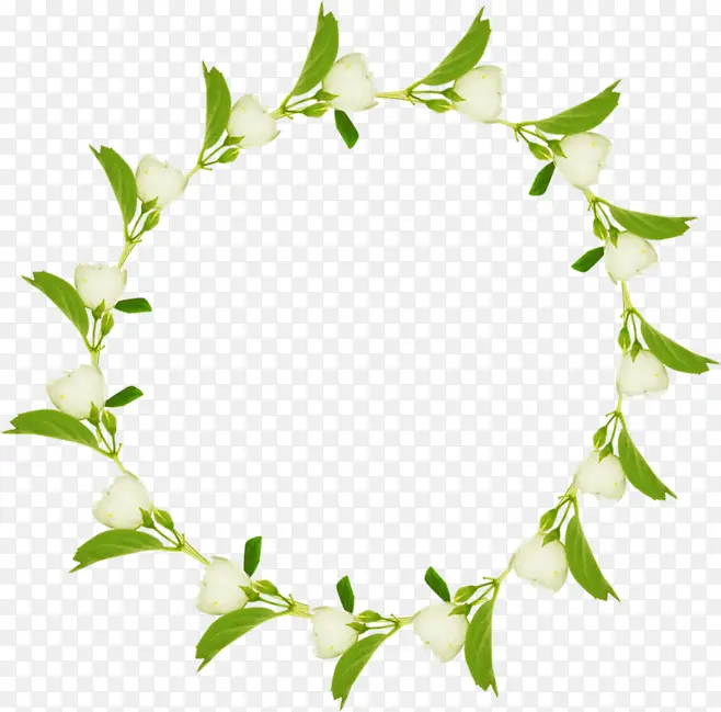 花环围绕的圆形绿叶白花