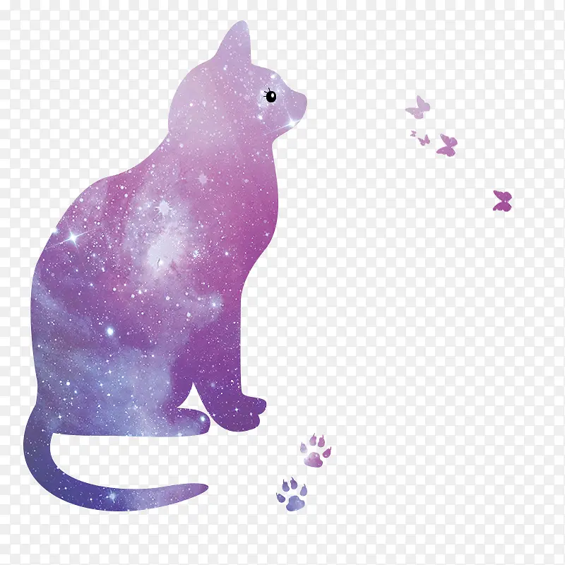 星空猫800*800*72