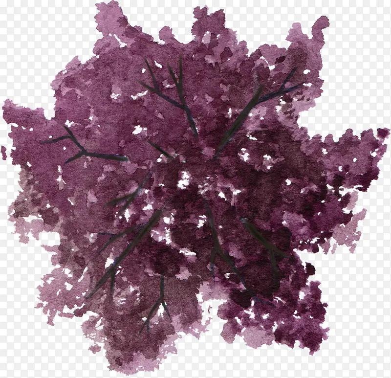 紫色树冠枝丫水彩风手绘