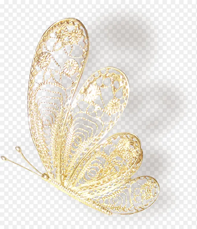 蝴蝶，金色，投影，头饰