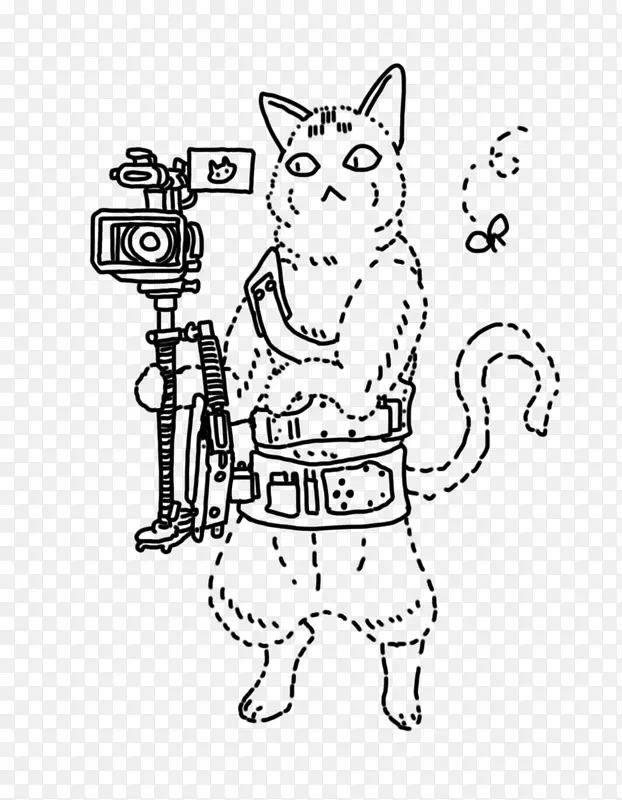 用相机摄影的猫猫