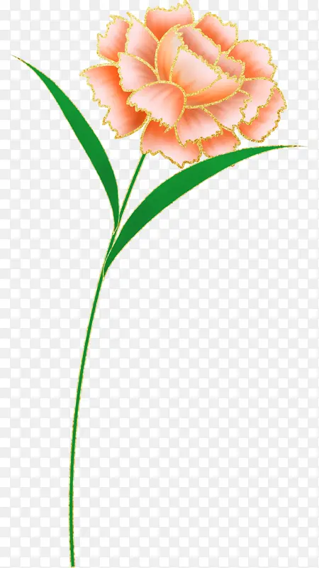 女神节一支康乃馨