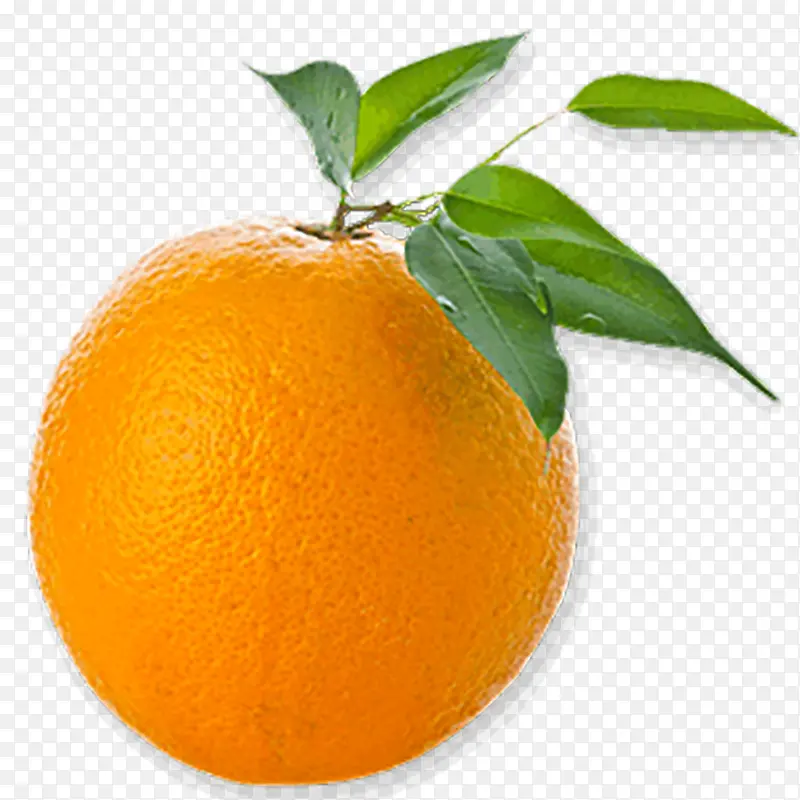 颜色鲜明的小橙子