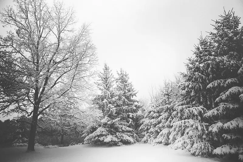 雪景 雪山 雪地 白色