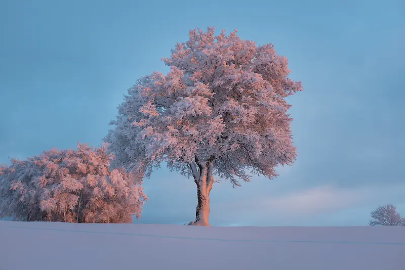 雪景 雪山 雪地 白色