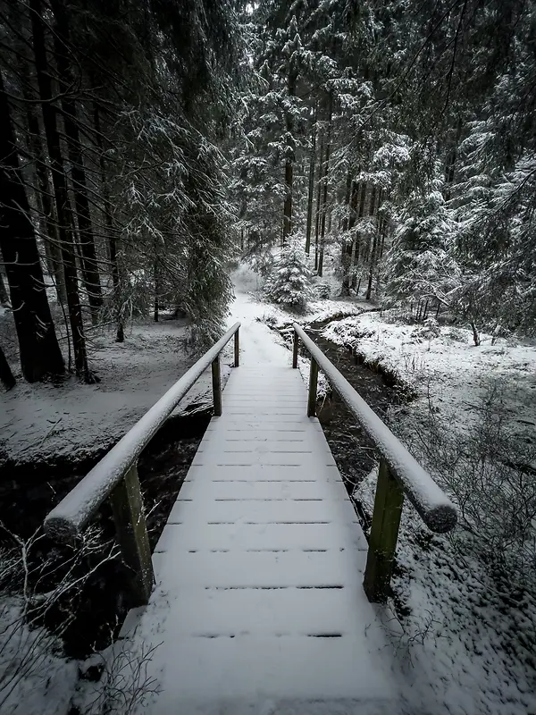 森林桥雪景摄影