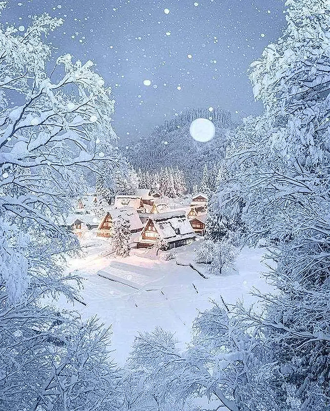 风光美景之冬雪