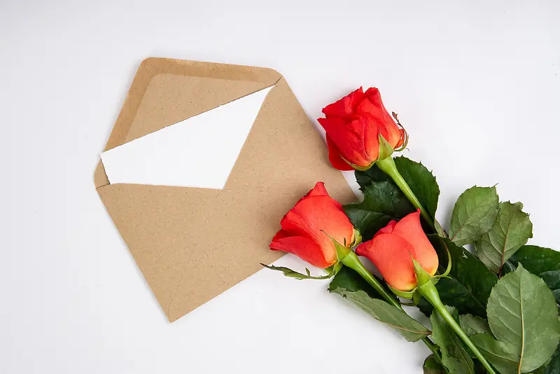 邮件花朵玫瑰花信封