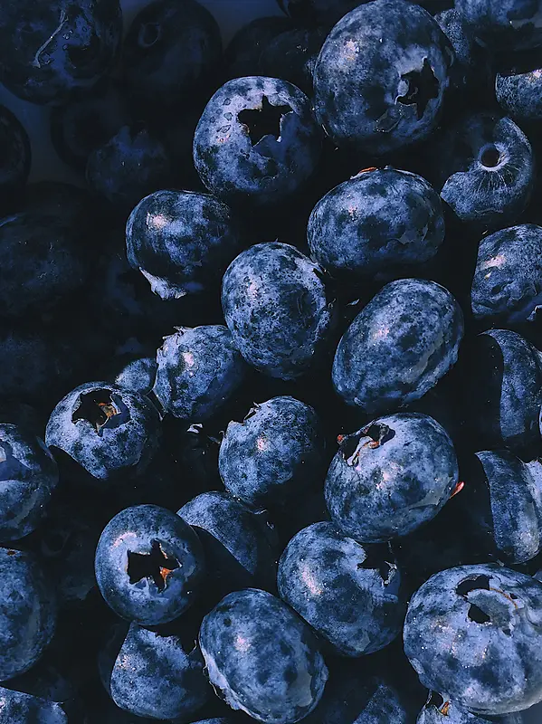 美味的蓝莓素材