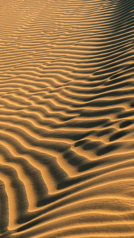 沙漠纹理背景黄色沙子风景