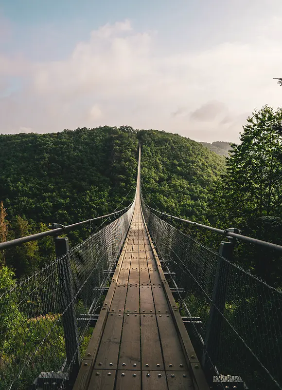 树林中的吊桥