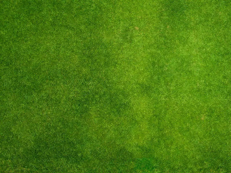 操场 草地 绿色 背景