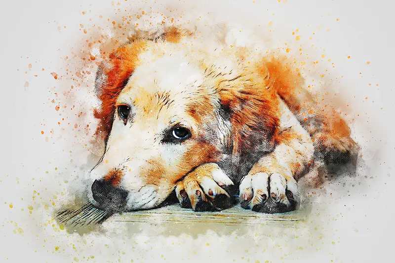 插画手绘狗狗