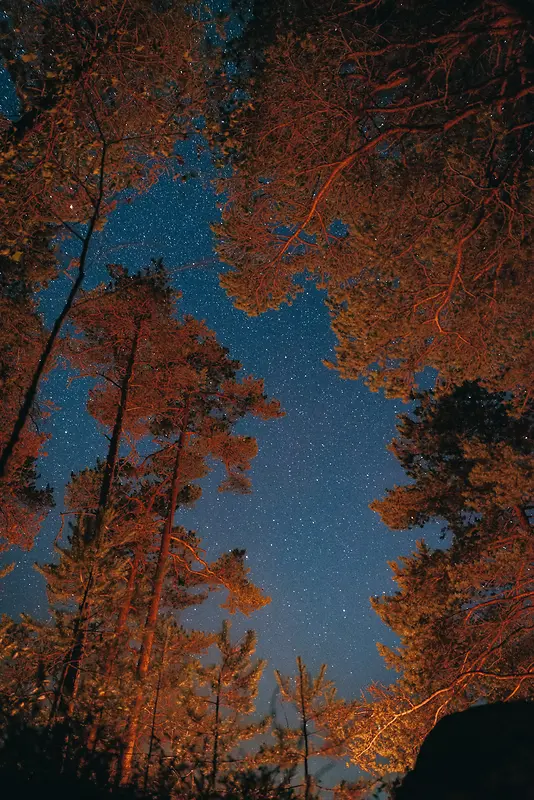 唯美的秋天夜晚