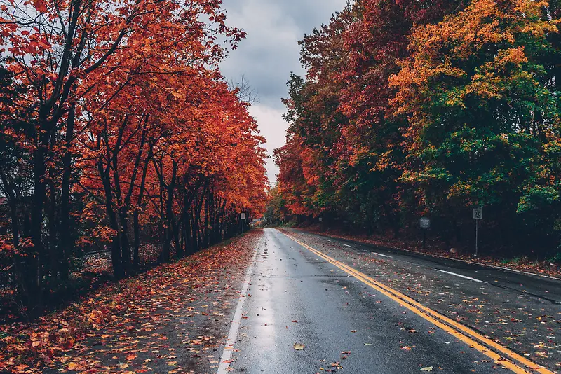 唯美的秋天道路